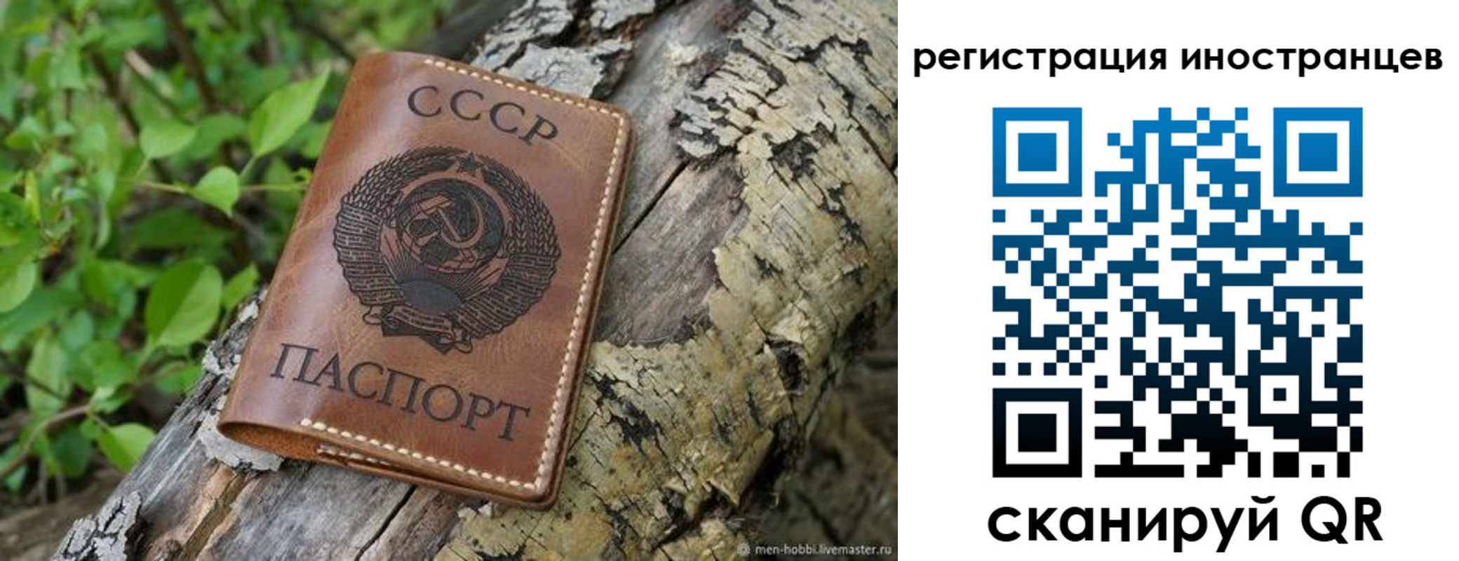 временная регистрация в Находке